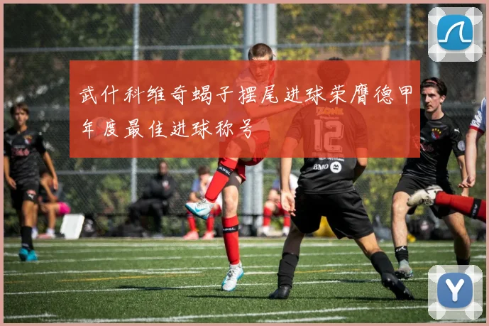 武什科维奇蝎子摆尾进球荣膺德甲年度最佳进球称号