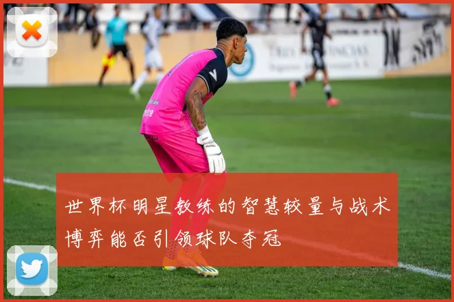 世界杯明星教练的智慧较量与战术博弈能否引领球队夺冠