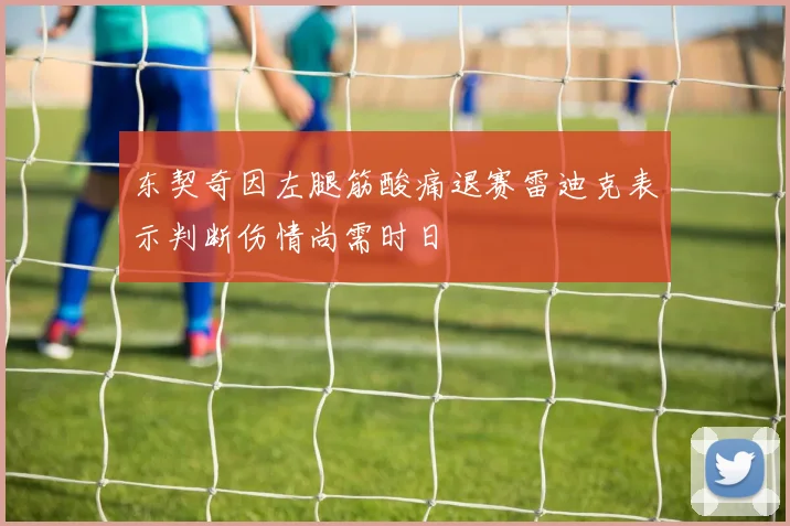东契奇因左腿筋酸痛退赛雷迪克表示判断伤情尚需时日